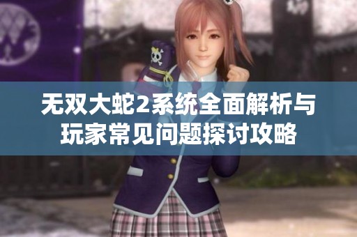 无双大蛇2系统全面解析与玩家常见问题探讨攻略