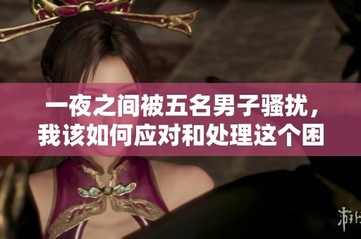 一夜之间被五名男子骚扰，我该如何应对和处理这个困境