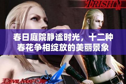 春日庭院静谧时光，十二种春花争相绽放的美丽景象