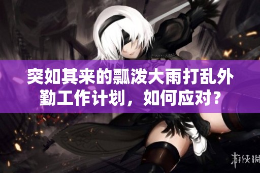 突如其来的瓢泼大雨打乱外勤工作计划，如何应对？