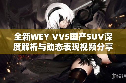 全新WEY VV5国产SUV深度解析与动态表现视频分享