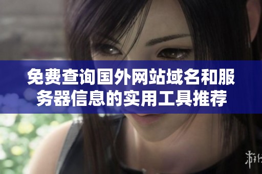 免费查询国外网站域名和服务器信息的实用工具推荐