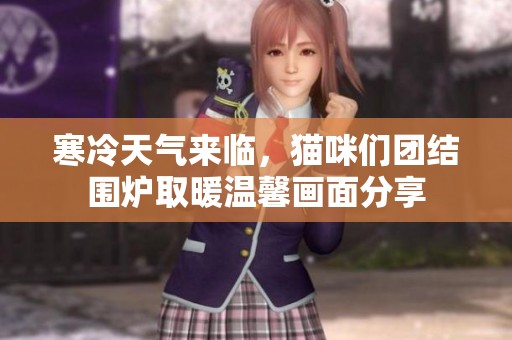 寒冷天气来临，猫咪们团结围炉取暖温馨画面分享