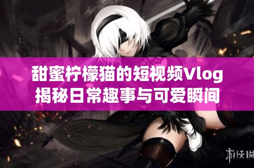 甜蜜柠檬猫的短视频Vlog揭秘日常趣事与可爱瞬间
