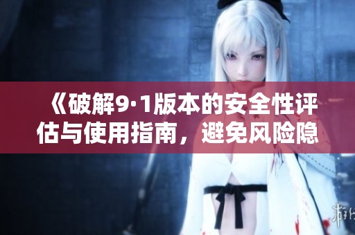 《破解9·1版本的安全性评估与使用指南，避免风险隐患》