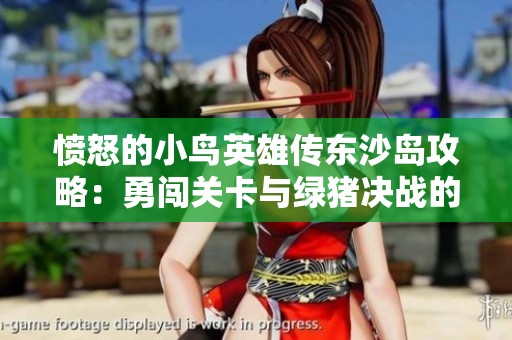 愤怒的小鸟英雄传东沙岛攻略：勇闯关卡与绿猪决战的全攻略