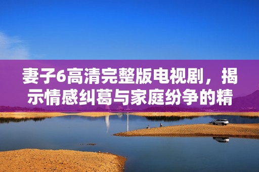 妻子6高清完整版电视剧，揭示情感纠葛与家庭纷争的精彩故事