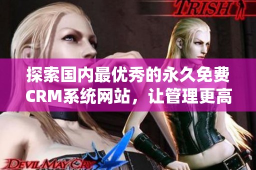 探索国内最优秀的永久免费CRM系统网站，让管理更高效