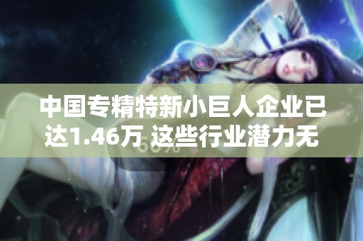 中国专精特新小巨人企业已达1.46万 这些行业潜力无限