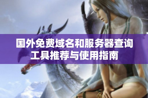 国外免费域名和服务器查询工具推荐与使用指南
