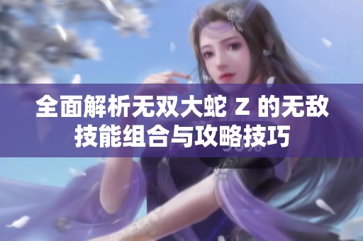 全面解析无双大蛇 Z 的无敌技能组合与攻略技巧