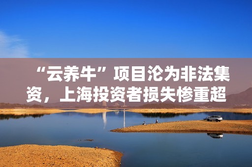 “云养牛”项目沦为非法集资，上海投资者损失惨重超5亿