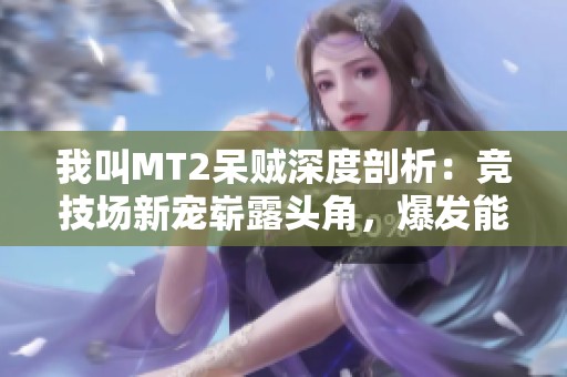 我叫MT2呆贼深度剖析：竞技场新宠崭露头角，爆发能力惊人
