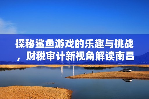 探秘鲨鱼游戏的乐趣与挑战，财税审计新视角解读南昌现状