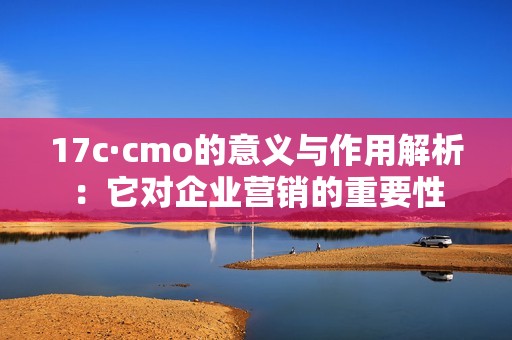 17c·cmo的意义与作用解析：它对企业营销的重要性