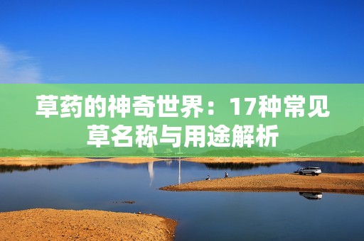 草药的神奇世界：17种常见草名称与用途解析