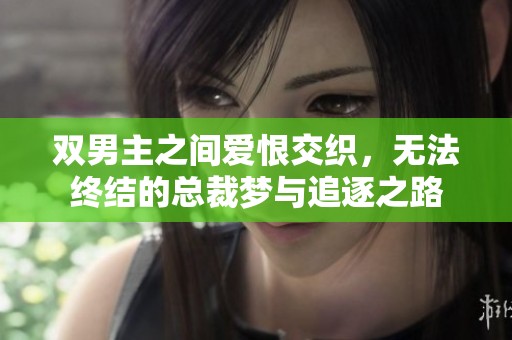 双男主之间爱恨交织，无法终结的总裁梦与追逐之路