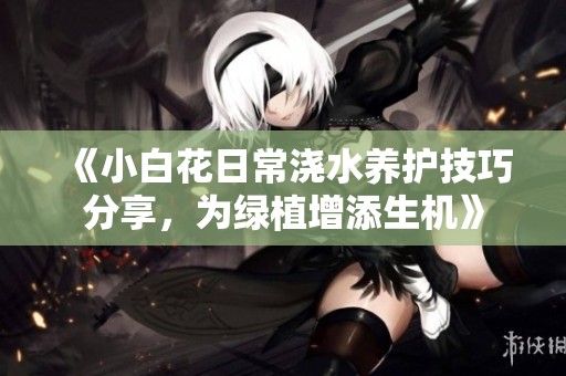 《小白花日常浇水养护技巧分享，为绿植增添生机》