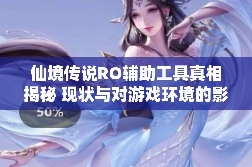 仙境传说RO辅助工具真相揭秘 现状与对游戏环境的影响分析