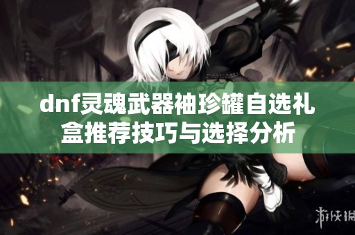 dnf灵魂武器袖珍罐自选礼盒推荐技巧与选择分析