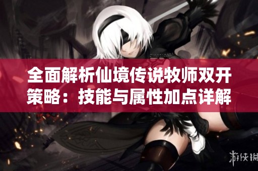 全面解析仙境传说牧师双开策略：技能与属性加点详解