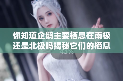 你知道企鹅主要栖息在南极还是北极吗揭秘它们的栖息地