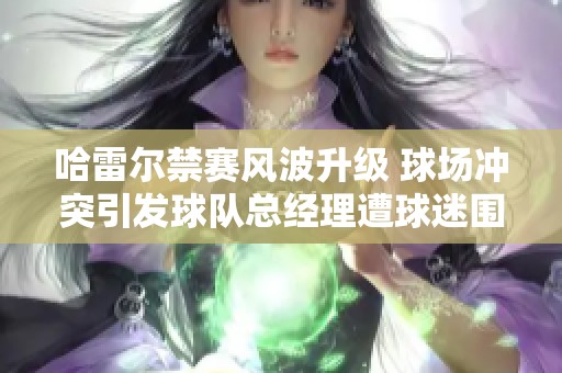 哈雷尔禁赛风波升级 球场冲突引发球队总经理遭球迷围攻