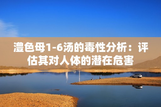 澧色母1-6汤的毒性分析：评估其对人体的潜在危害