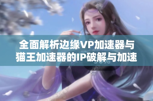全面解析边缘VP加速器与猫王加速器的IP破解与加速优势