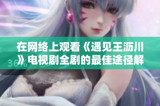 在网络上观看《遇见王沥川》电视剧全剧的最佳途径解析