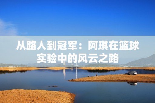 从路人到冠军：阿琪在篮球实验中的风云之路
