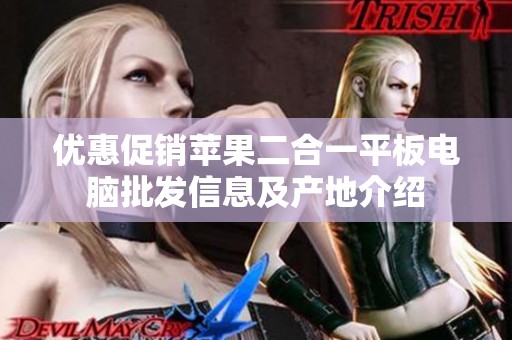 优惠促销苹果二合一平板电脑批发信息及产地介绍