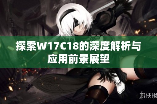 探索W17C18的深度解析与应用前景展望