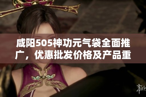 咸阳505神功元气袋全面推广，优惠批发价格及产品重磅上线