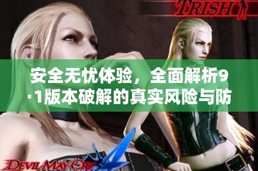 安全无忧体验，全面解析9·1版本破解的真实风险与防范措施