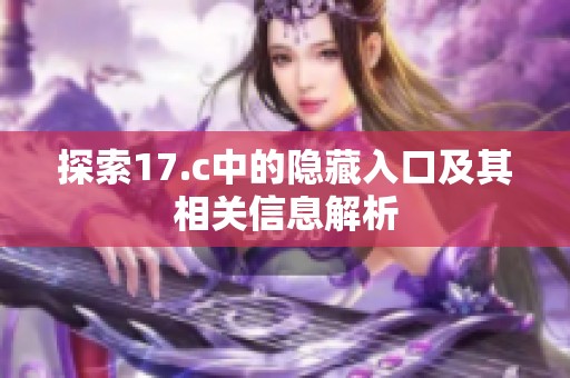 探索17.c中的隐藏入口及其相关信息解析