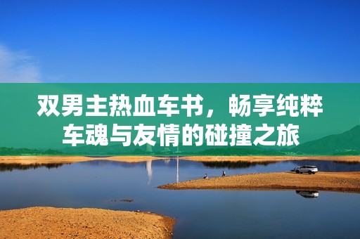 双男主热血车书，畅享纯粹车魂与友情的碰撞之旅