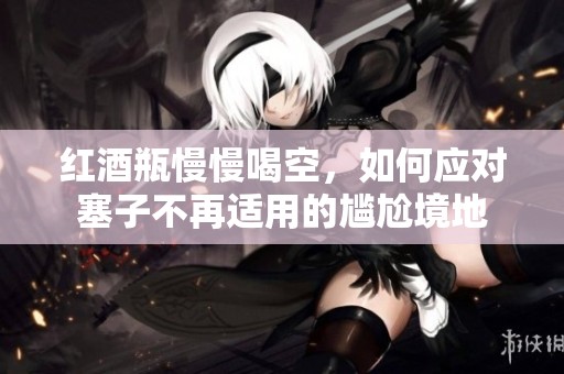 红酒瓶慢慢喝空，如何应对塞子不再适用的尴尬境地