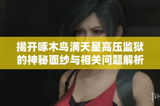 揭开啄木鸟满天星高压监狱的神秘面纱与相关问题解析
