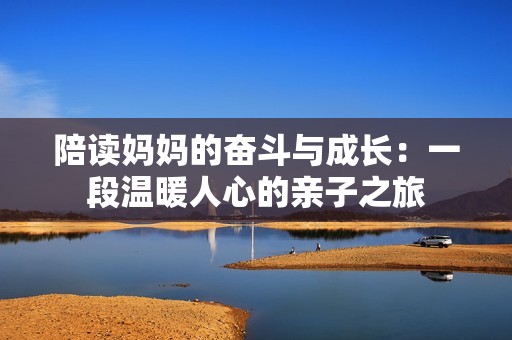 陪读妈妈的奋斗与成长：一段温暖人心的亲子之旅