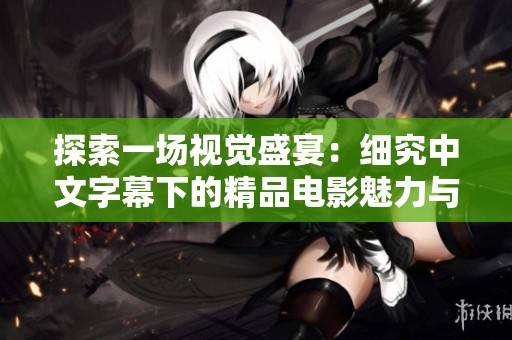 探索一场视觉盛宴：细究中文字幕下的精品电影魅力与意义