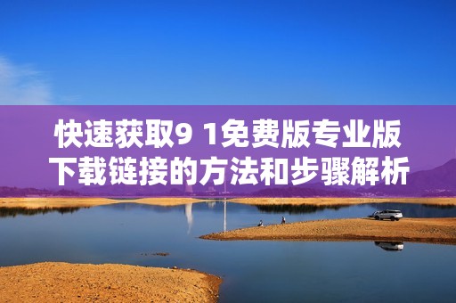 快速获取9 1免费版专业版下载链接的方法和步骤解析