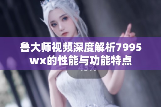 鲁大师视频深度解析7995wx的性能与功能特点