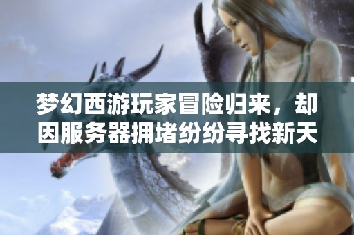 梦幻西游玩家冒险归来，却因服务器拥堵纷纷寻找新天地