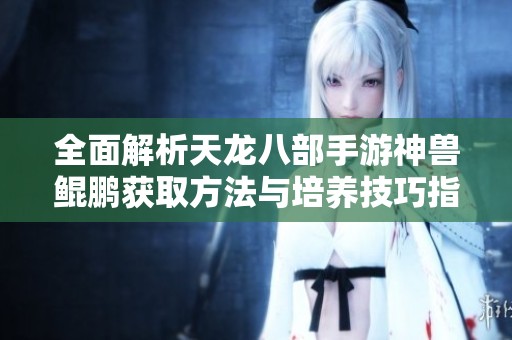 全面解析天龙八部手游神兽鲲鹏获取方法与培养技巧指南