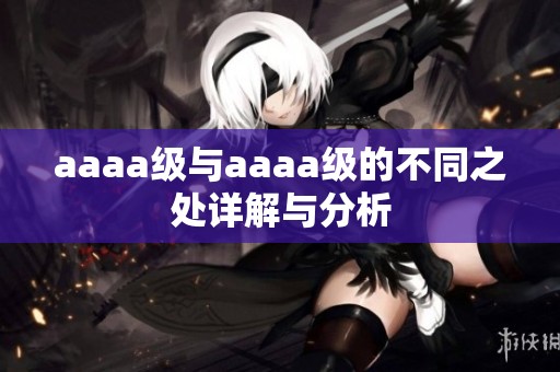aaaa级与aaaa级的不同之处详解与分析