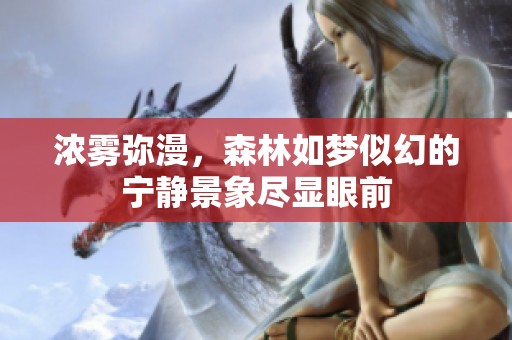 浓雾弥漫，森林如梦似幻的宁静景象尽显眼前