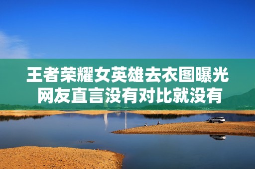 王者荣耀女英雄去衣图曝光 网友直言没有对比就没有伤害