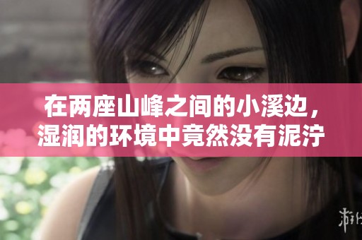在两座山峰之间的小溪边，湿润的环境中竟然没有泥泞的存在