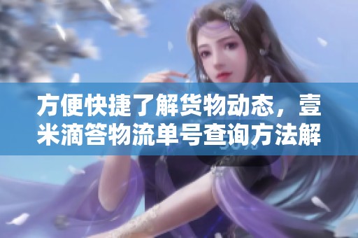 方便快捷了解货物动态，壹米滴答物流单号查询方法解析